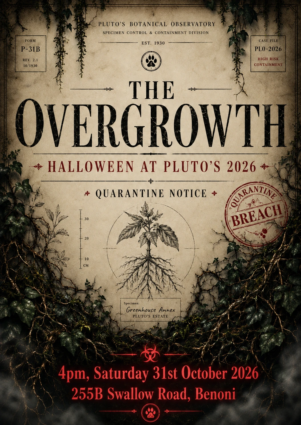 The Overgrowth: Halloween at Pluto’s 2026. The original botanical quarantine invitation, with hanging ivy and tangled roots. 4pm, Saturday 31 October 2026, 255B Swallow Road, Benoni.