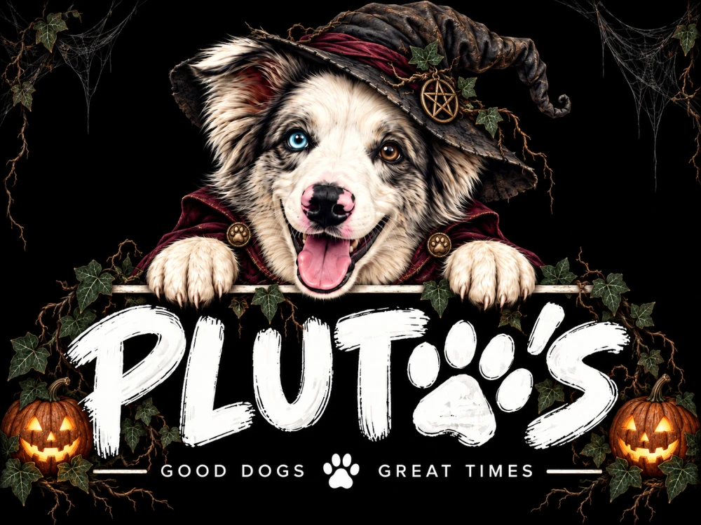 Pluto wearing a witch’s hat and burgundy cape, with pumpkins and vines around the Pluto’s logo. Good Dogs, Great Times.